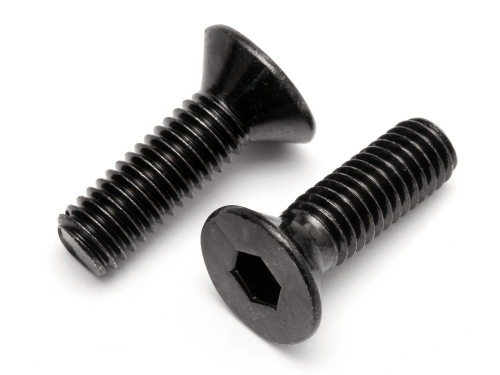 Flat Head Screw M6X20mm (2pcs)