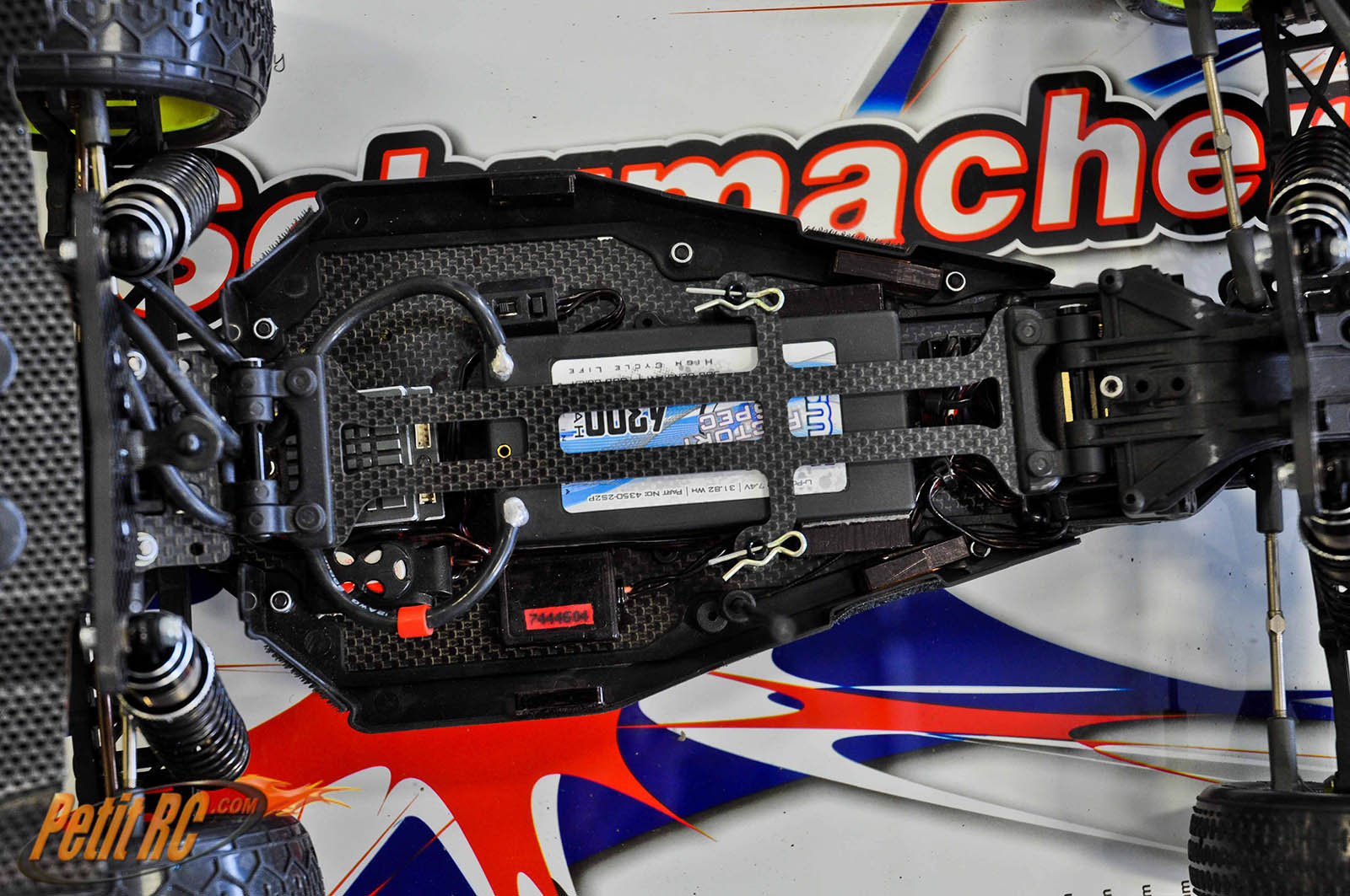 Canadian Champs - SAR