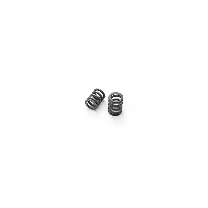 Slipper Spring 8.5X12mm: GOM