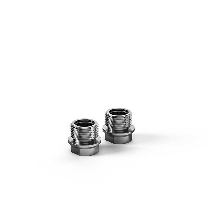 RSD Aluminum Shock Cartridge Silver (2)