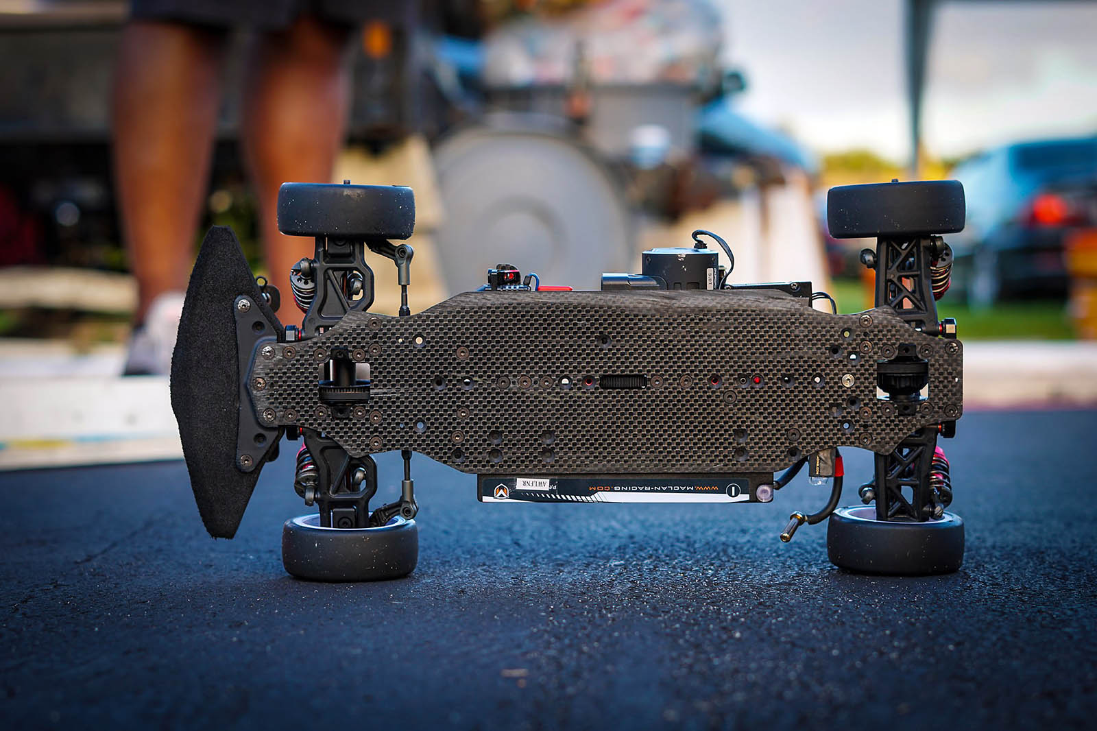 FSEARA - Coral Spring